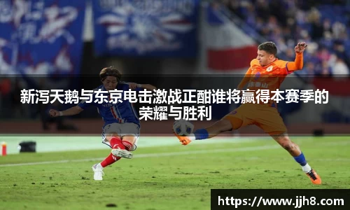 买球新泻天鹅与东京电击激战正酣谁将赢得本赛季的荣耀与胜利